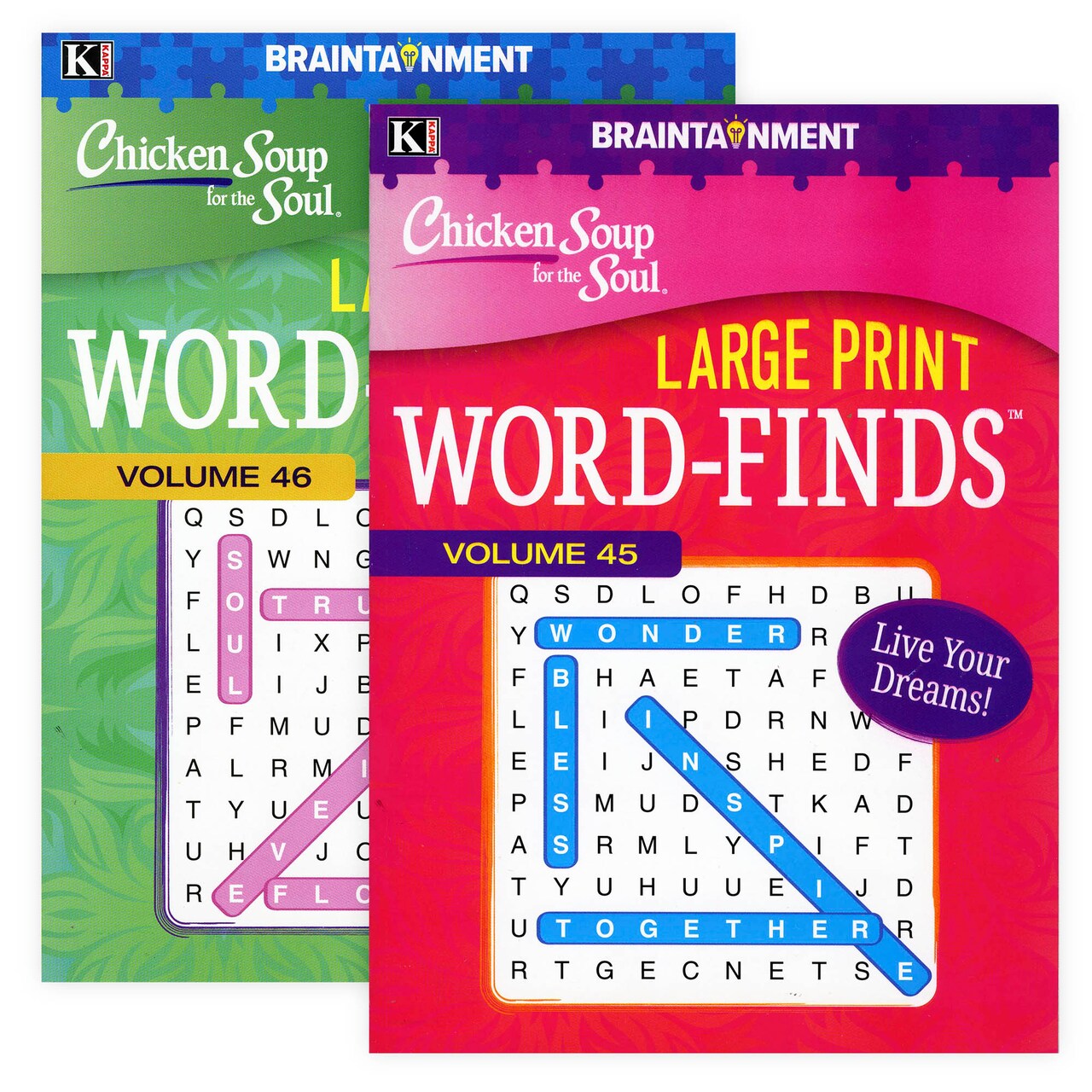 KAPPA Large Print Chicken Soup For The Soul Word Finds Puzzle Book
